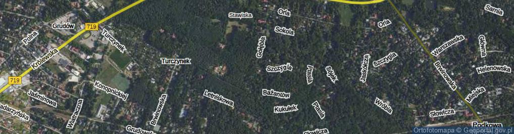 Zdjęcie satelitarne Gołębia ul.